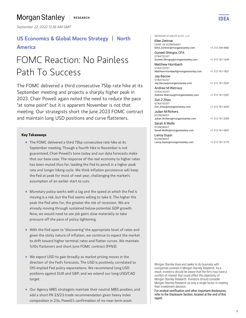 FOMC Reaction-  No Painless Path To SuccessFOMC Reaction-  No Painless Path To Success_1.png